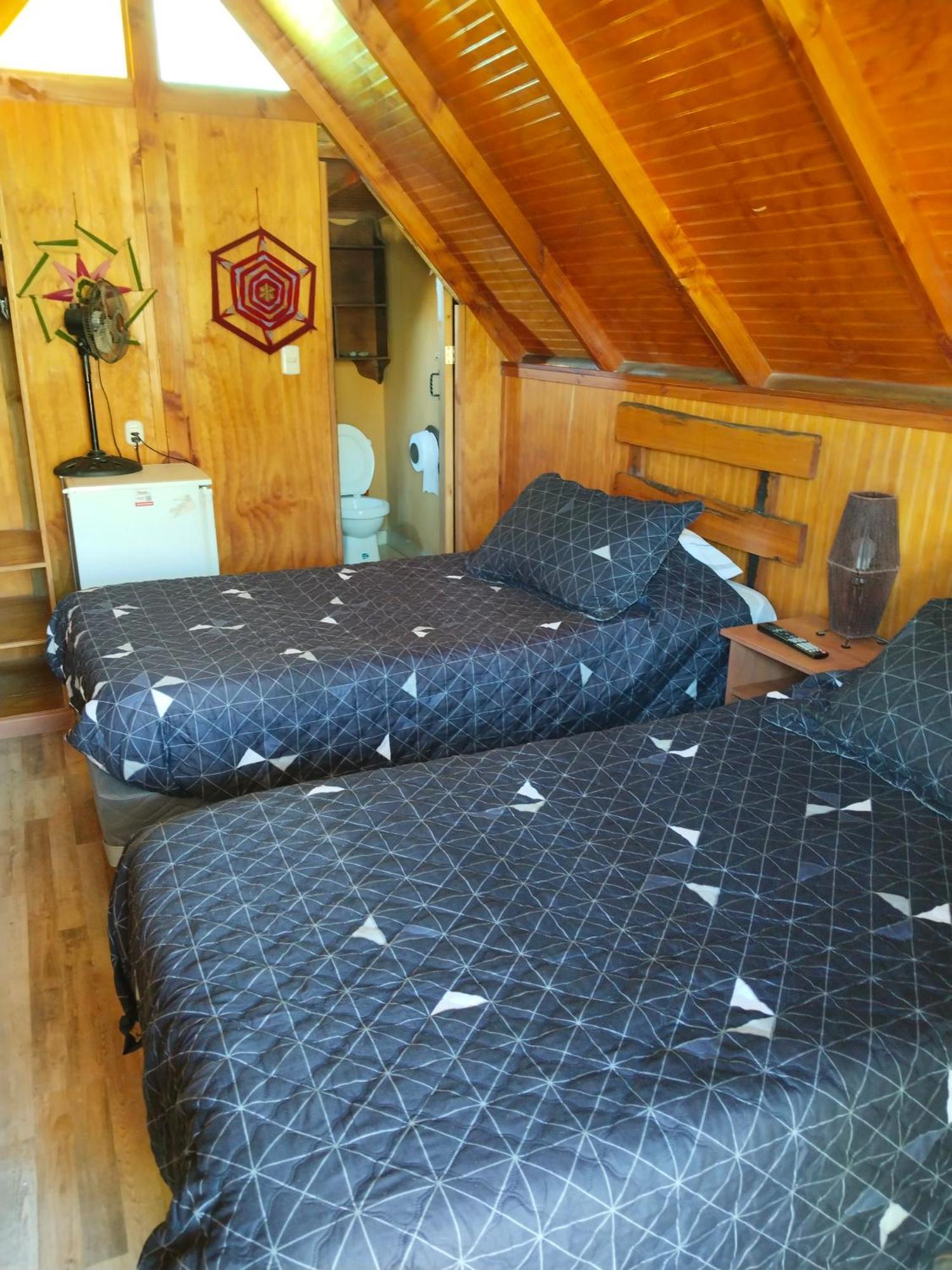 Hostal Cactus Copiapó المظهر الخارجي الصورة